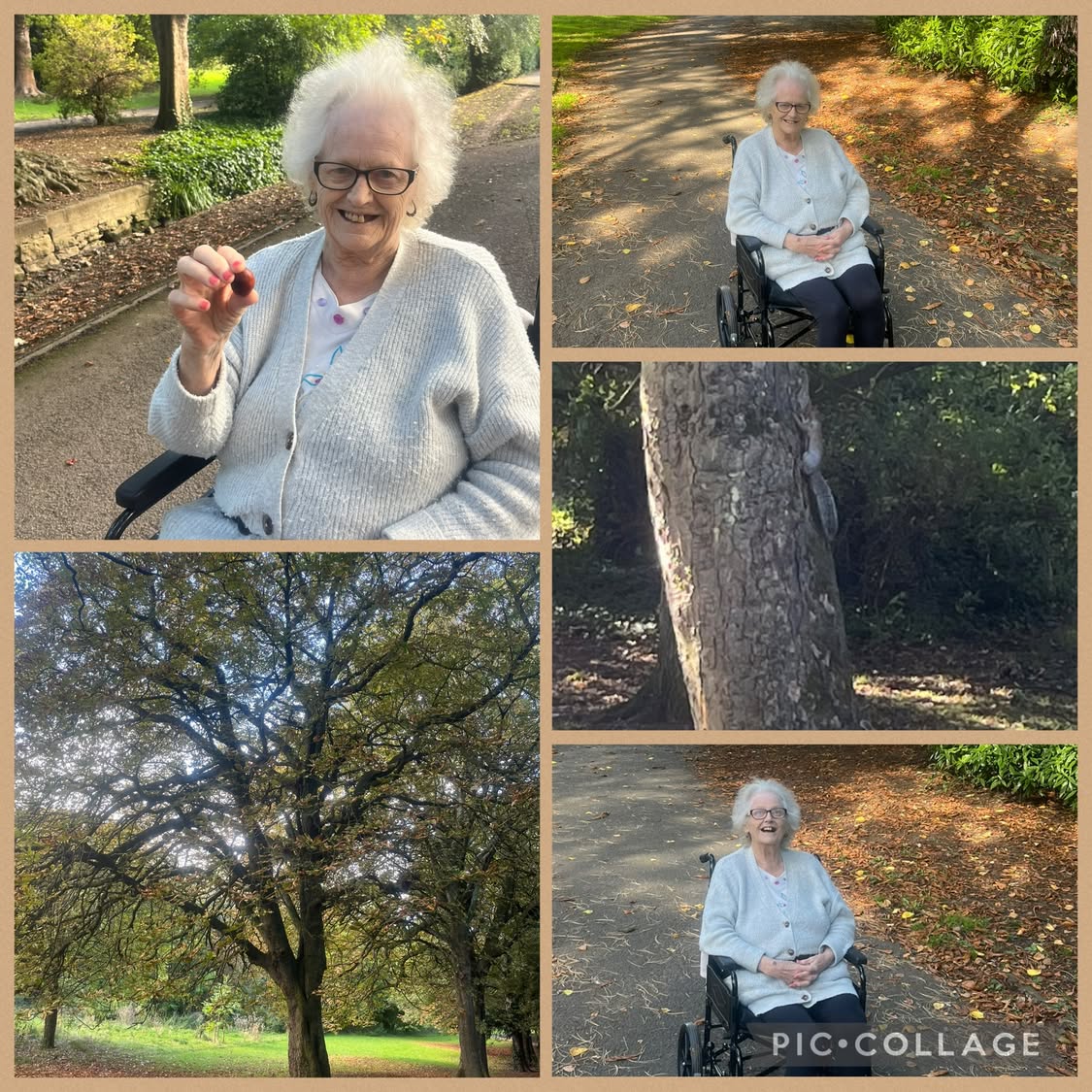 J enjoyed a lovely autumn stroll in Burn Valley Family Wood spotting squirrels, finding conkers, and watching the golden leaves fall from the trees around us 🍂 🐿️ #LindisfarneHartlepool #AutumnWalk #Nature
