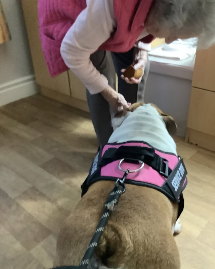 #lindisfarneseaham 
Residents enjoyed an afternoon of dog therapy with Daisy 🐶