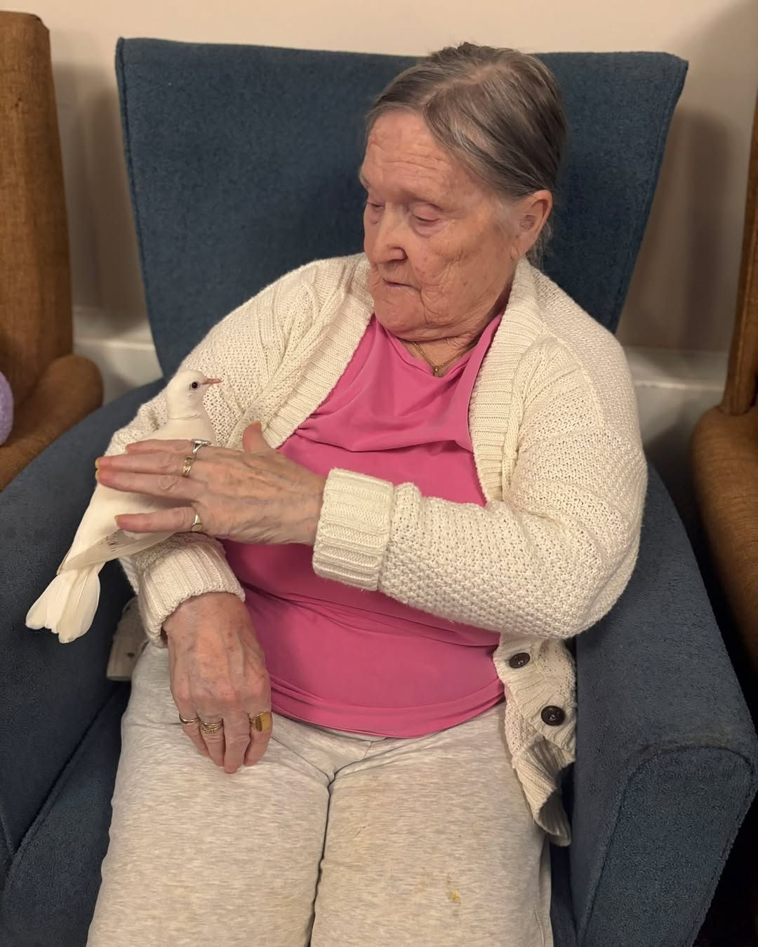 🕊️💛 Gentle Moments at #lindisfarneshotton 
Our residents shared some truly special moments holding this beautiful dove during our animal therapy session. There were plenty of smiles, calm cuddles and lovely conversations all around.
Such a peaceful and heartwarming experience for everyone involved. 🥰