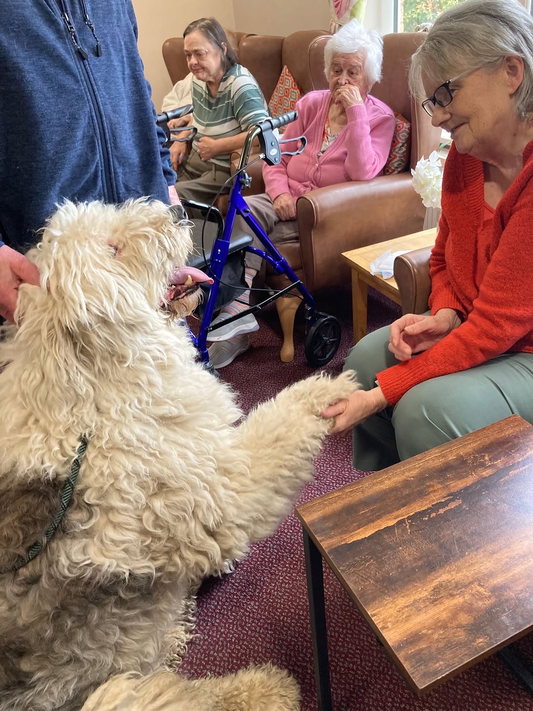 A nice visit from KOKO and DILLION at #stmarysnursinghome