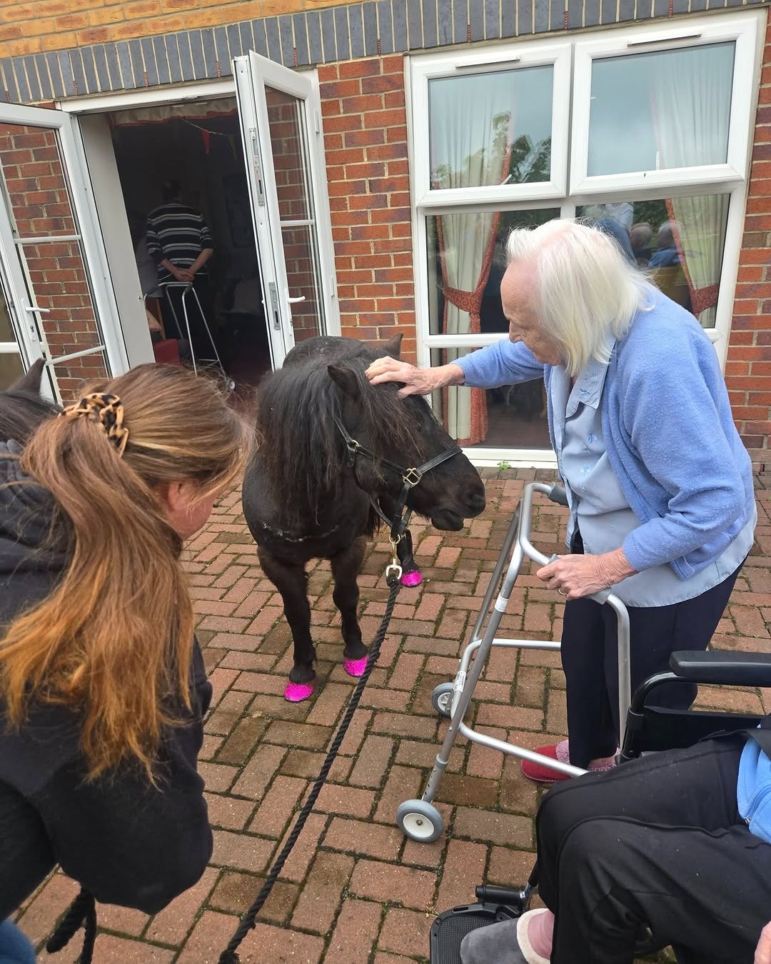 #lindisfarneseaham 
Recently we had a small petting zoo. Residents and staff all had great fun.