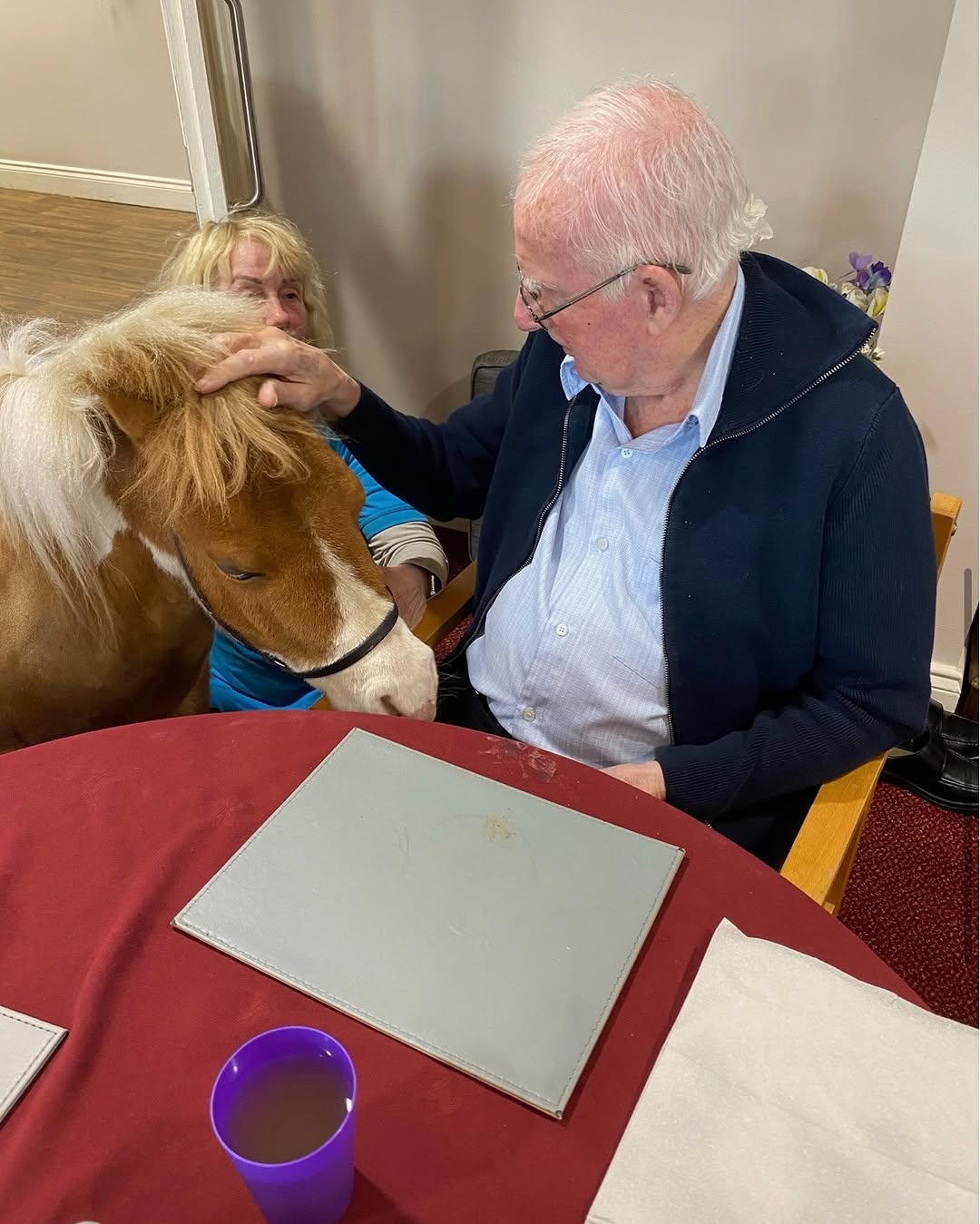#LindisfarneNewtonAycliffe 
We absolutely loved our visit from a KL Pony Therapy this month.
 
Katie and her pony Monet were lovely.  They visit every resident on all floors and our residents had the best day and have asked for them to call again.
