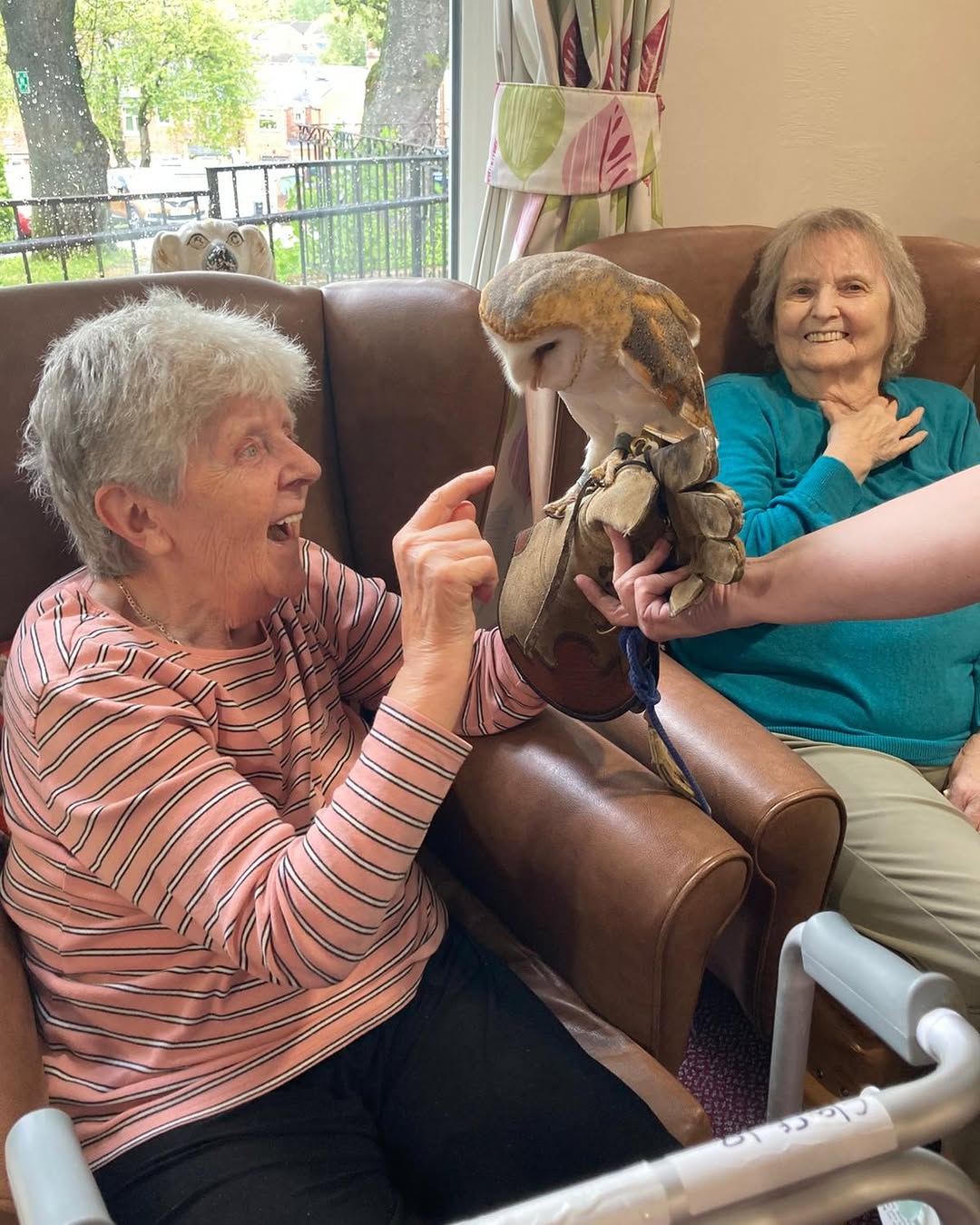 Last week at #stmarysnursinghome we had a visit from 3 wise owls from Gosling Raptors. They were very friendly & service users where very interested 🤩